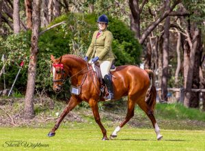 Made to Burn Standardbred